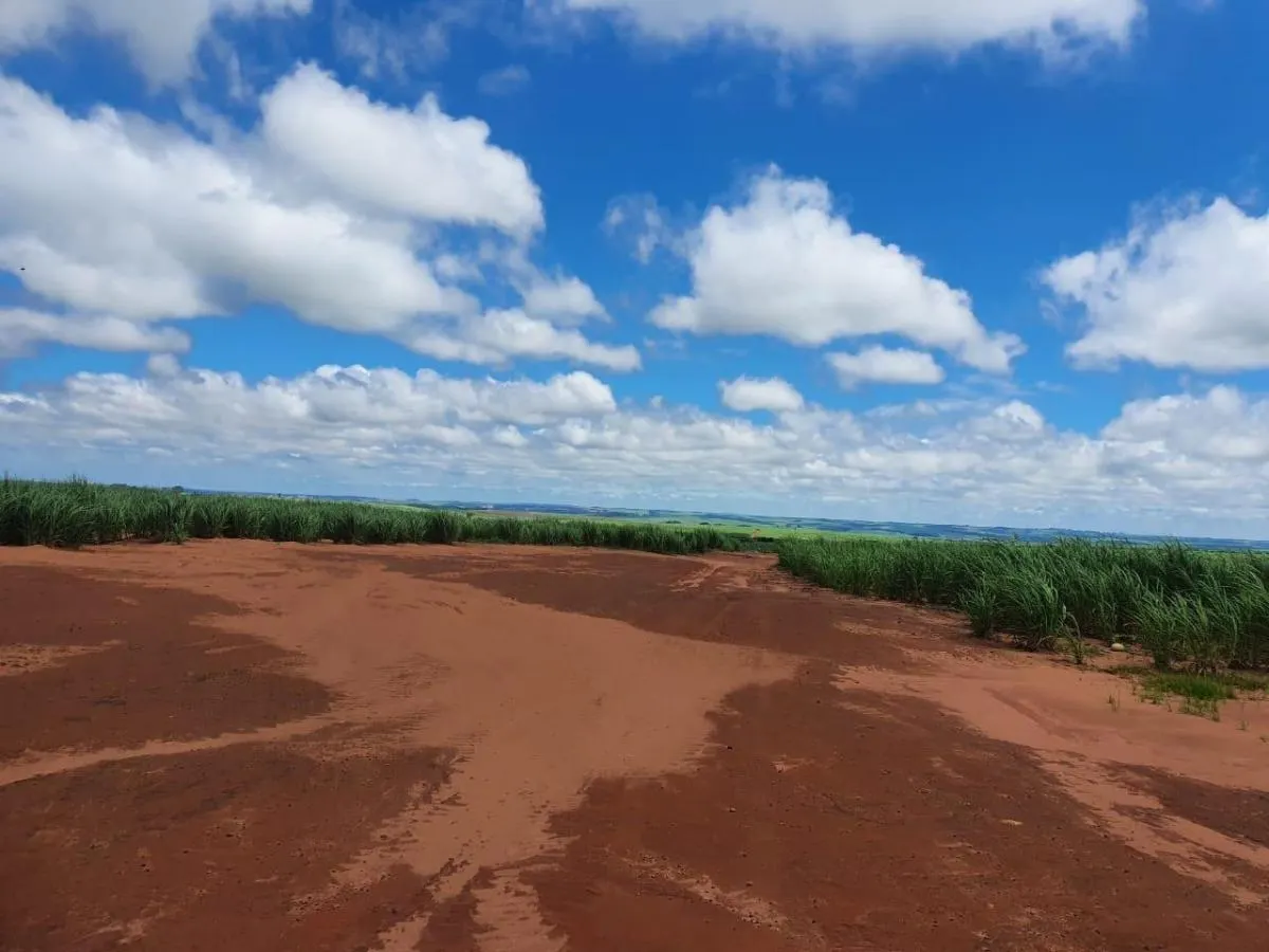 Fazenda à venda de 240 ha em Jales, SP, Brasil