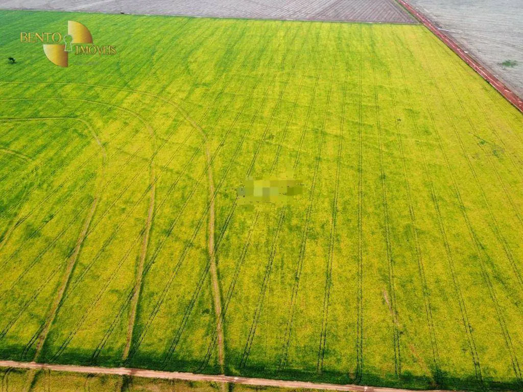 Fazenda à venda e para Arrendar de 1.950 ha em Canarana, MT, Brasil