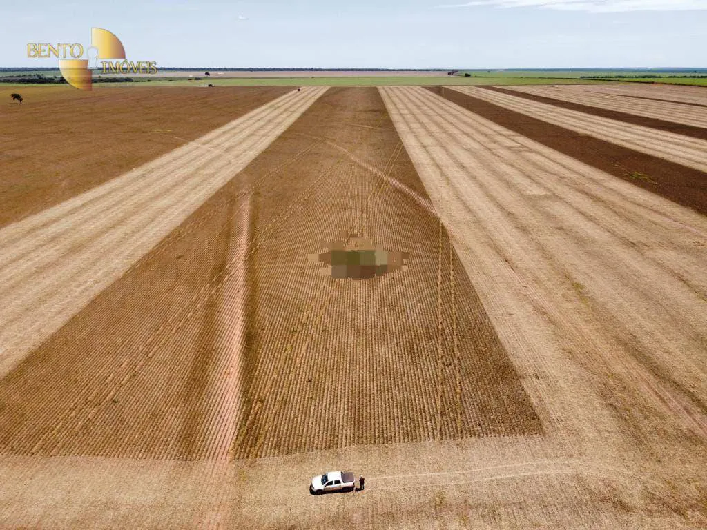 Fazenda à venda e para Arrendar de 1.950 ha em Canarana, MT, Brasil