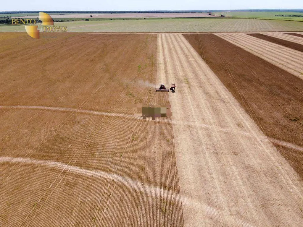 Fazenda à venda e para Arrendar de 1.950 ha em Canarana, MT, Brasil