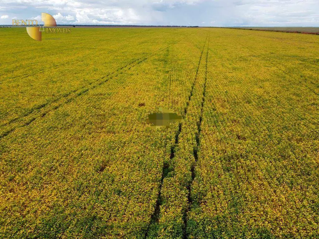 Fazenda à venda e para Arrendar de 1.950 ha em Canarana, MT, Brasil