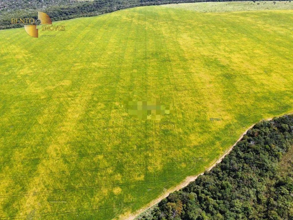 Fazenda à venda e para Arrendar de 1.950 ha em Canarana, MT, Brasil