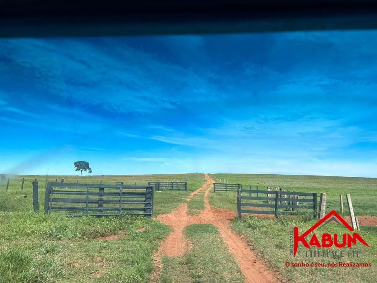 Fazenda à venda de 220 ha em Presidente Venceslau, SP, Brasil