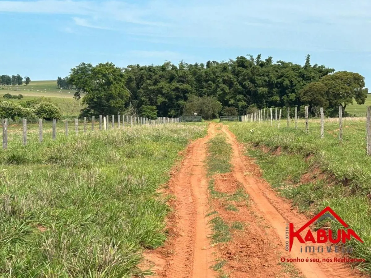 Fazenda à venda de 220 ha em Presidente Venceslau, SP, Brasil