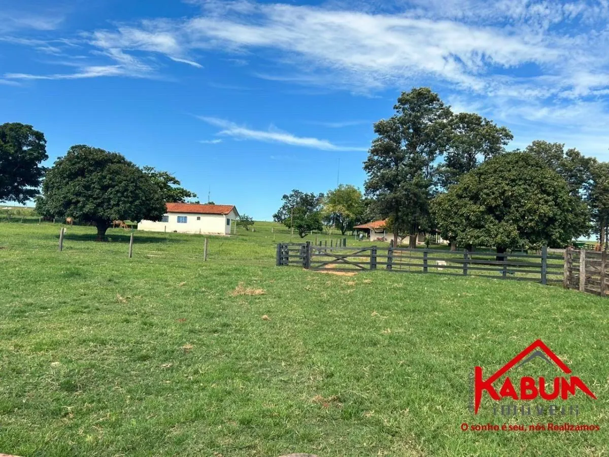Fazenda à venda de 220 ha em Presidente Venceslau, SP, Brasil
