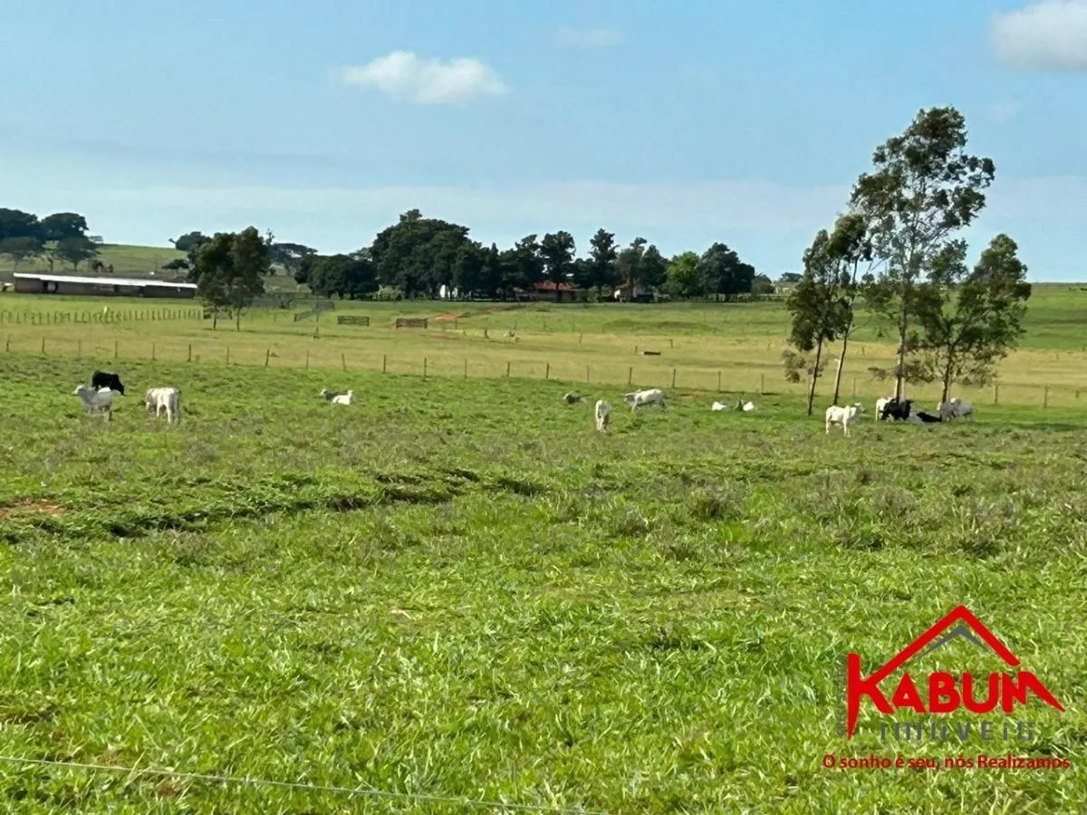 Fazenda à venda de 220 ha em Presidente Venceslau, SP, Brasil