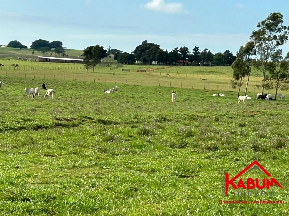 Fazenda à venda de 220 ha em Presidente Venceslau, SP, Brasil