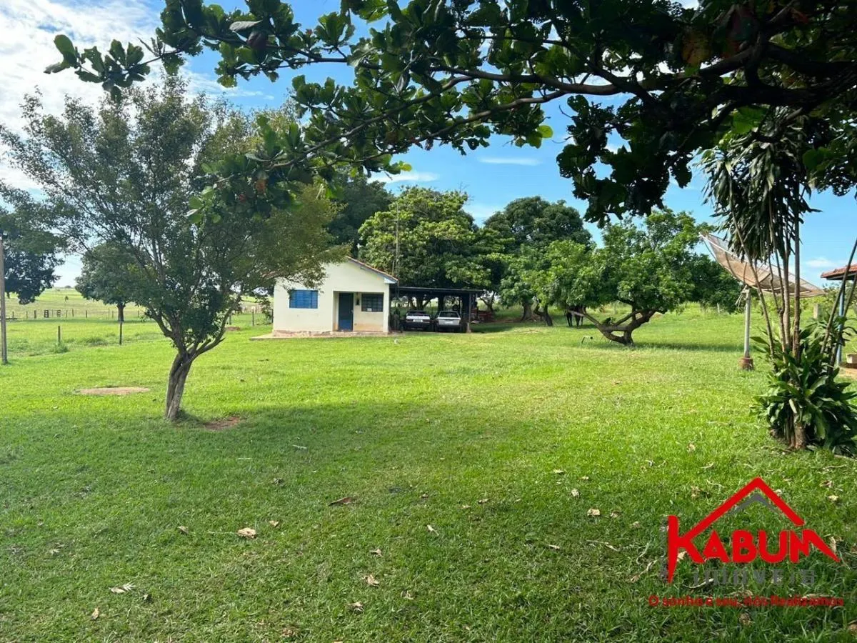 Fazenda à venda de 220 ha em Presidente Venceslau, SP, Brasil