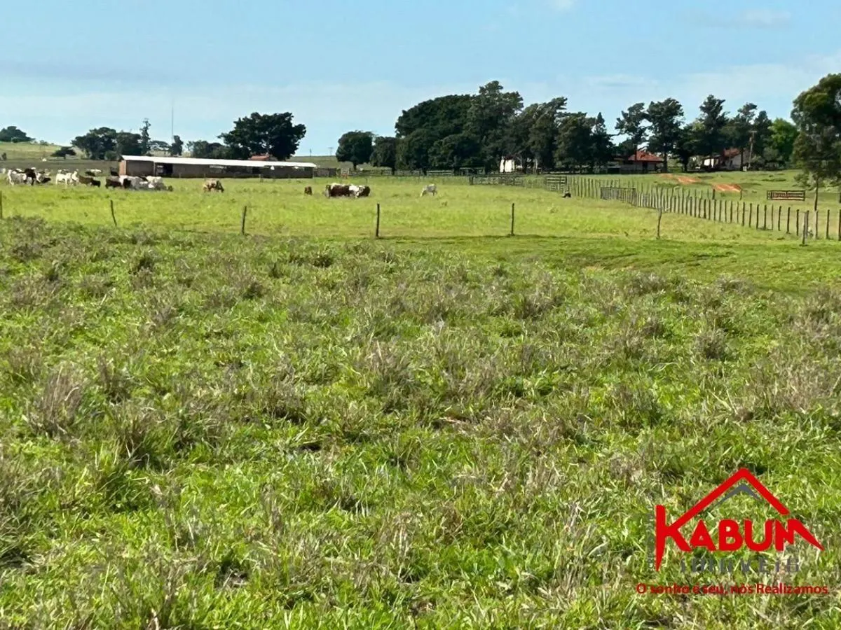 Fazenda à venda de 220 ha em Presidente Venceslau, SP, Brasil