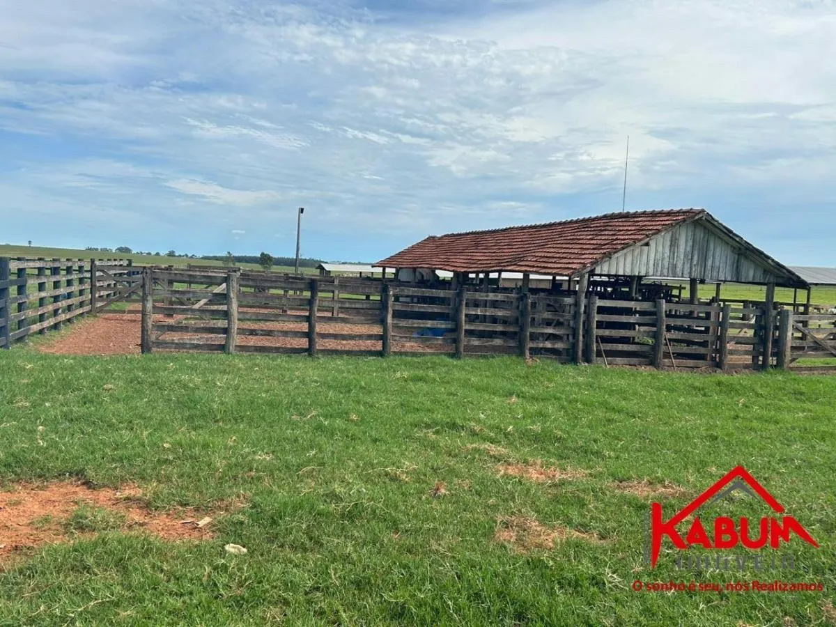 Fazenda à venda de 220 ha em Presidente Venceslau, SP, Brasil