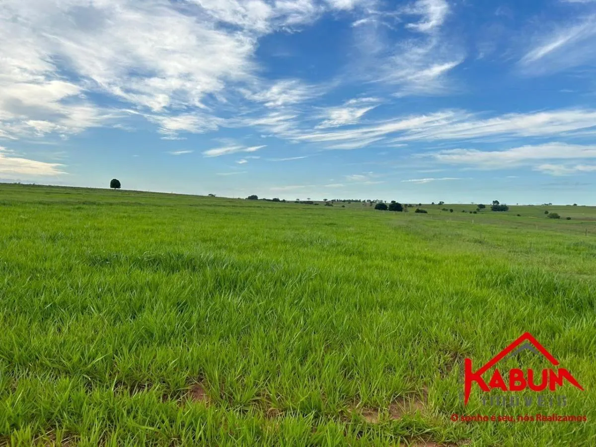 Fazenda à venda de 220 ha em Presidente Venceslau, SP, Brasil