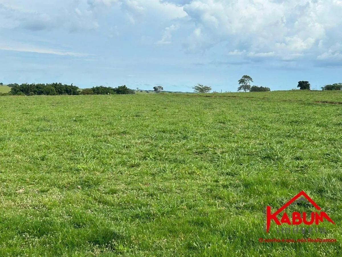 Fazenda à venda de 220 ha em Presidente Venceslau, SP, Brasil