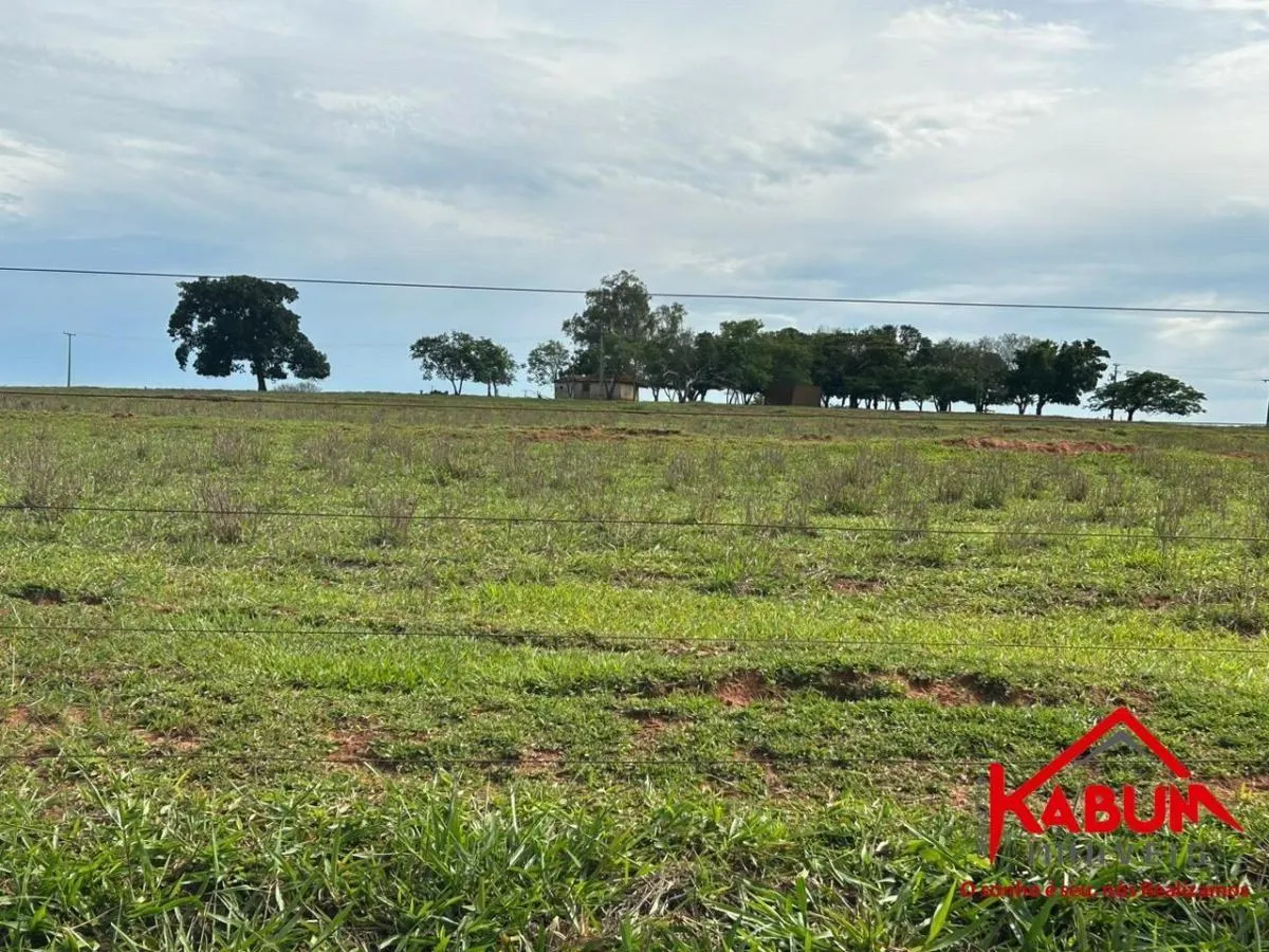 Fazenda à venda de 220 ha em Presidente Venceslau, SP, Brasil