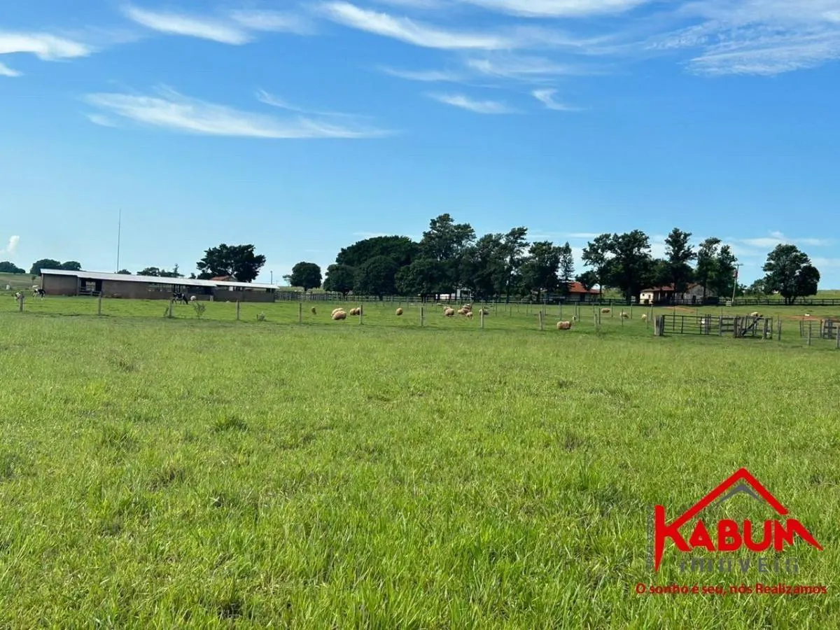 Fazenda à venda de 220 ha em Presidente Venceslau, SP, Brasil