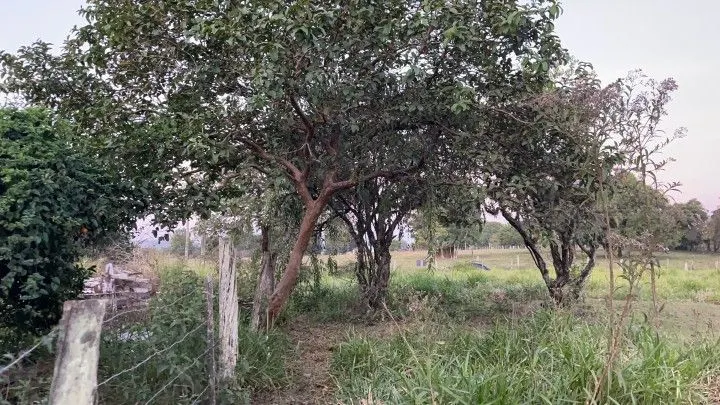 Chácara à venda de 2.900 m² em Santo Antônio da Patrulha, RS, Brasil