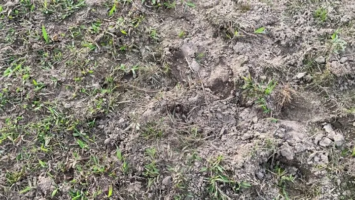Chácara à venda de 2.900 m² em Santo Antônio da Patrulha, RS, Brasil