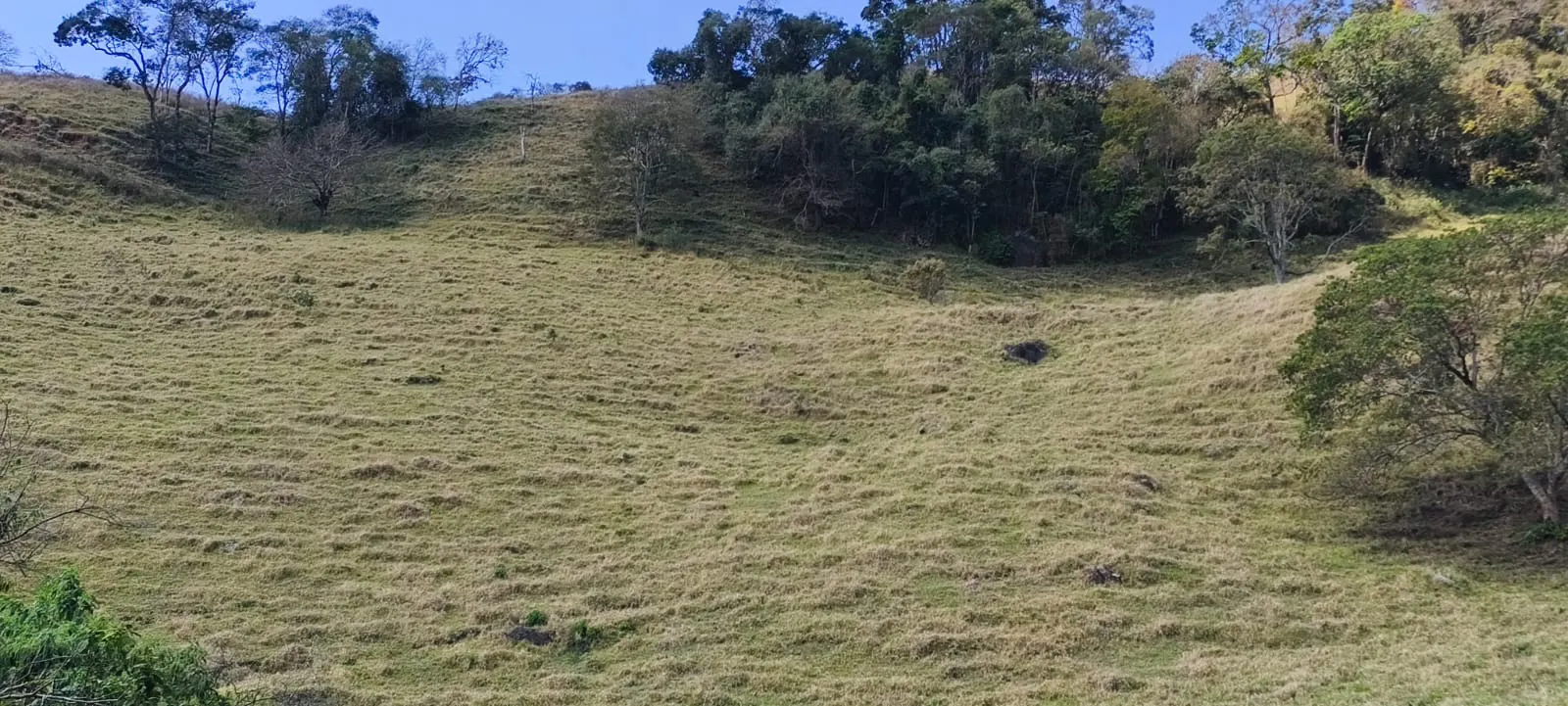 Sítio à venda de 19 ha em Paraisópolis, MG, Brasil
