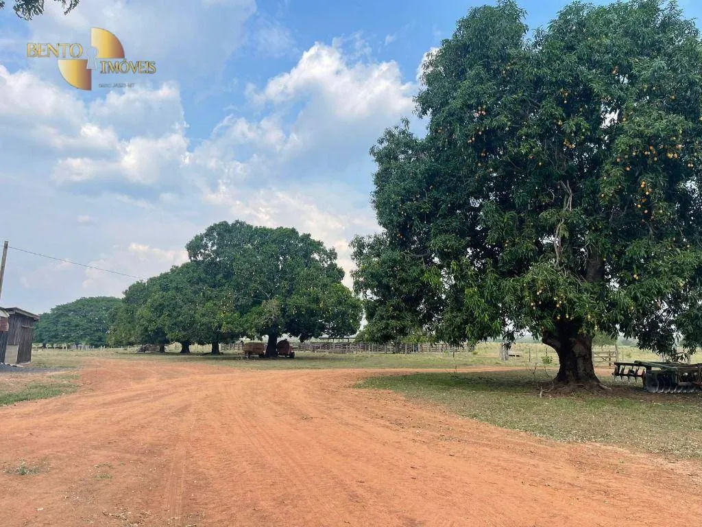 Fazenda à venda de 1.200 ha em Diamantino, MT, Brasil