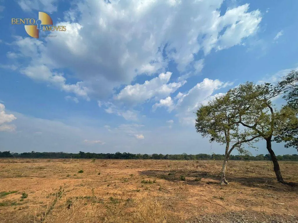 Fazenda à venda de 1.200 ha em Diamantino, MT, Brasil