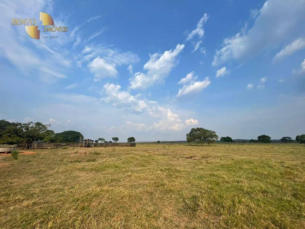 Fazenda à venda de 1.200 ha em Diamantino, MT, Brasil