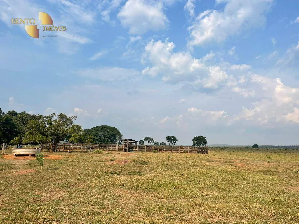 Fazenda à venda de 1.200 ha em Diamantino, MT, Brasil