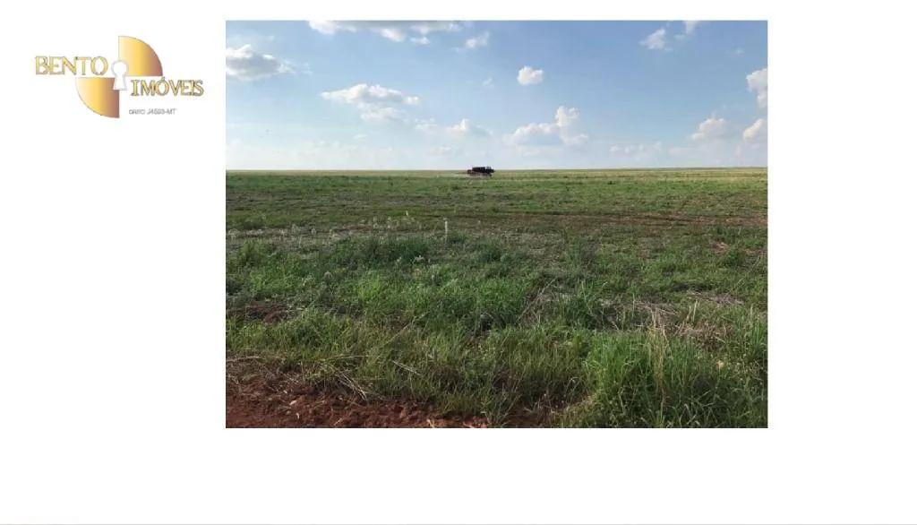 Fazenda à venda de 4.900 ha em Diamantino, MT, Brasil