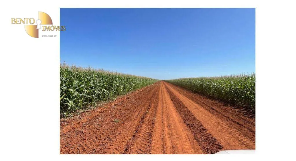 Fazenda à venda de 4.900 ha em Diamantino, MT, Brasil