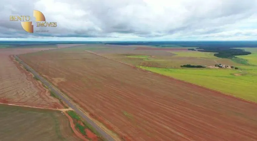 Fazenda à venda de 4.900 ha em Diamantino, MT, Brasil