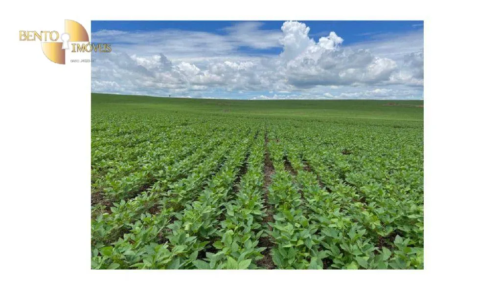 Fazenda à venda de 4.900 ha em Diamantino, MT, Brasil