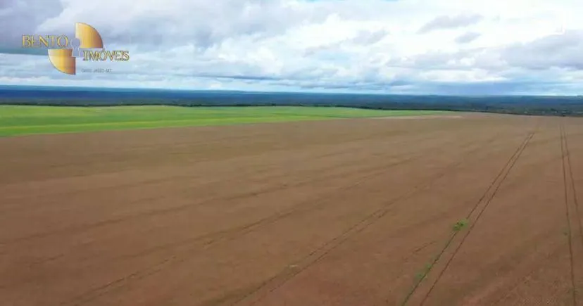 Fazenda à venda de 4.900 ha em Diamantino, MT, Brasil