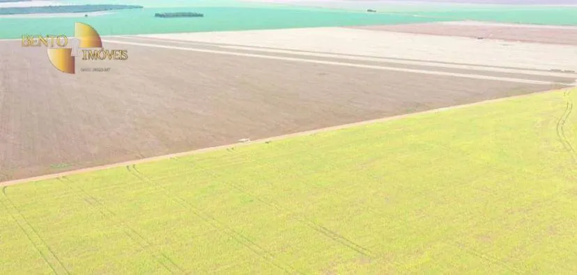 Fazenda à venda de 4.900 ha em Diamantino, MT, Brasil
