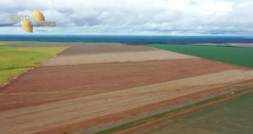 Fazenda à venda de 4.900 ha em Diamantino, MT, Brasil