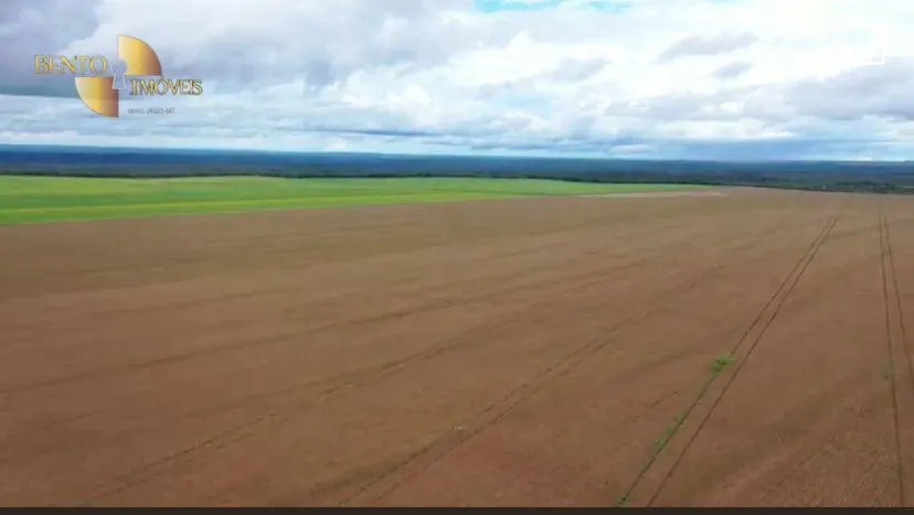 Fazenda à venda de 4.900 ha em Diamantino, MT, Brasil