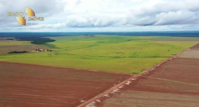Fazenda à venda de 4.900 ha em Diamantino, MT, Brasil