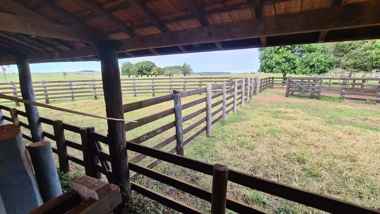 Fazenda à venda de 951 ha em Teodoro Sampaio, SP, Brasil
