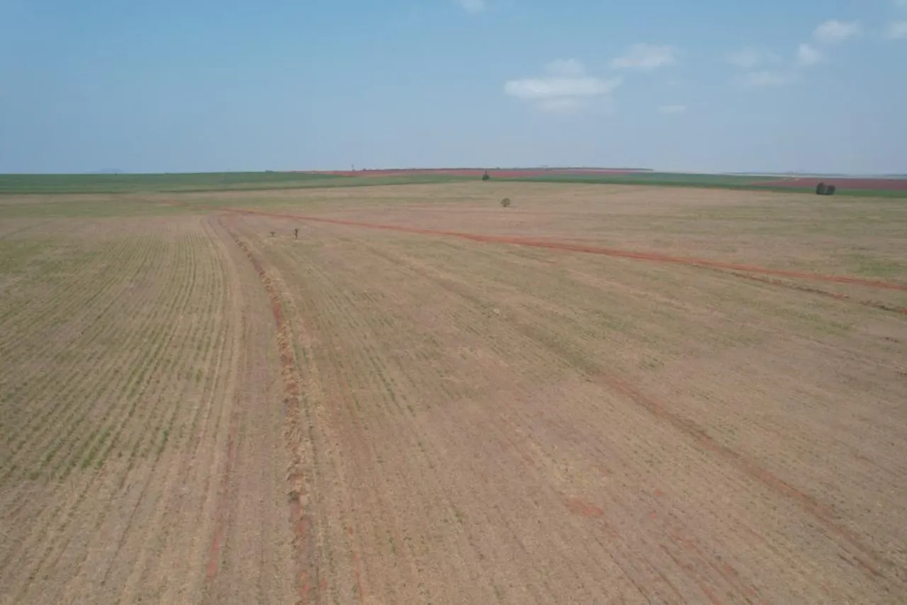 Fazenda à venda de 951 ha em Teodoro Sampaio, SP, Brasil