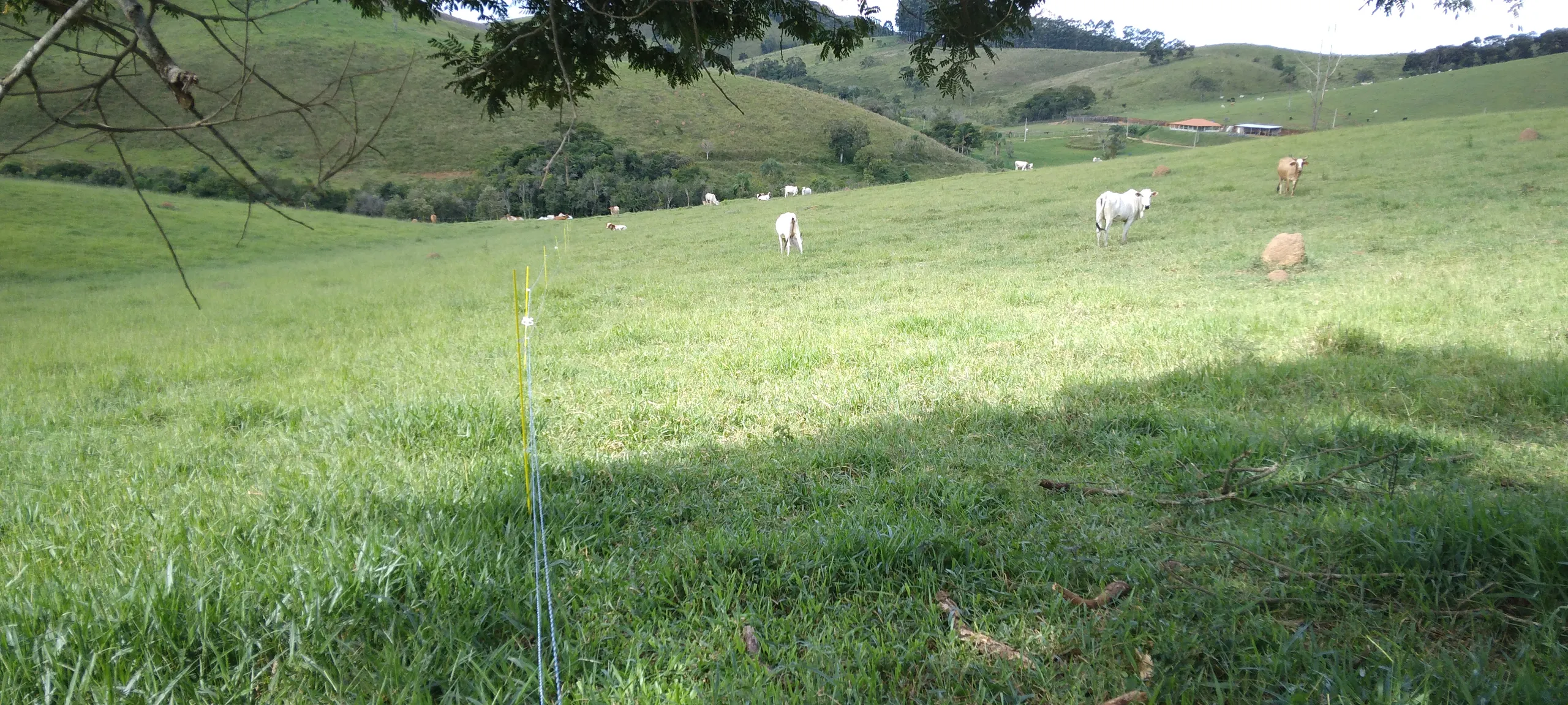 Sítio à venda de 21 ha em Lagoinha, SP, Brasil