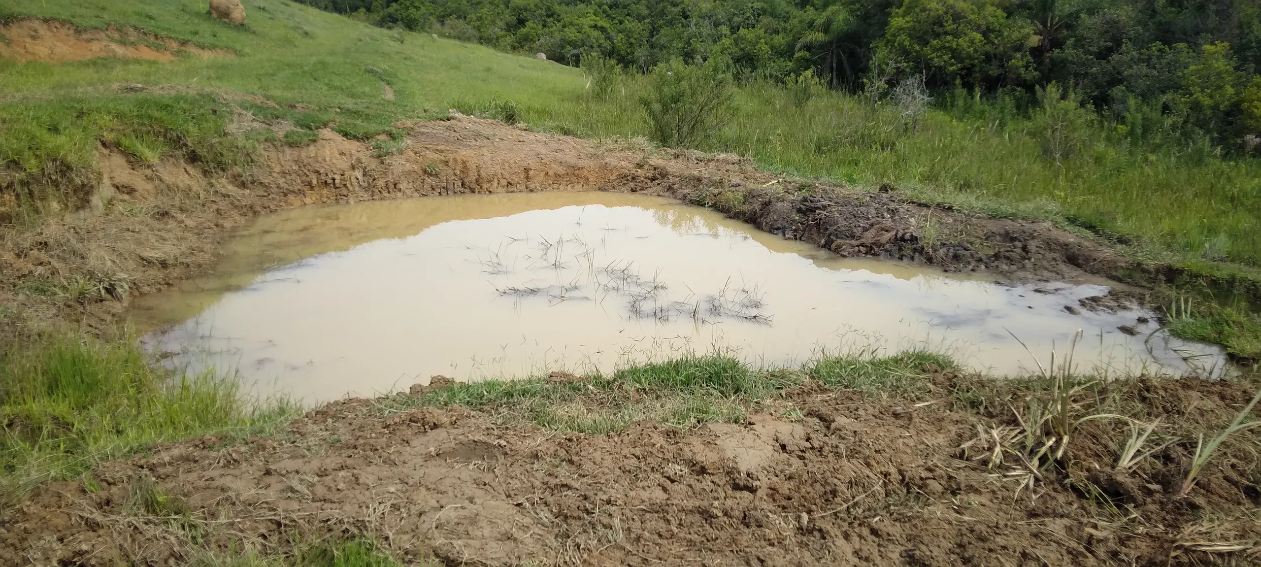 Sítio à venda de 21 ha em Lagoinha, SP, Brasil