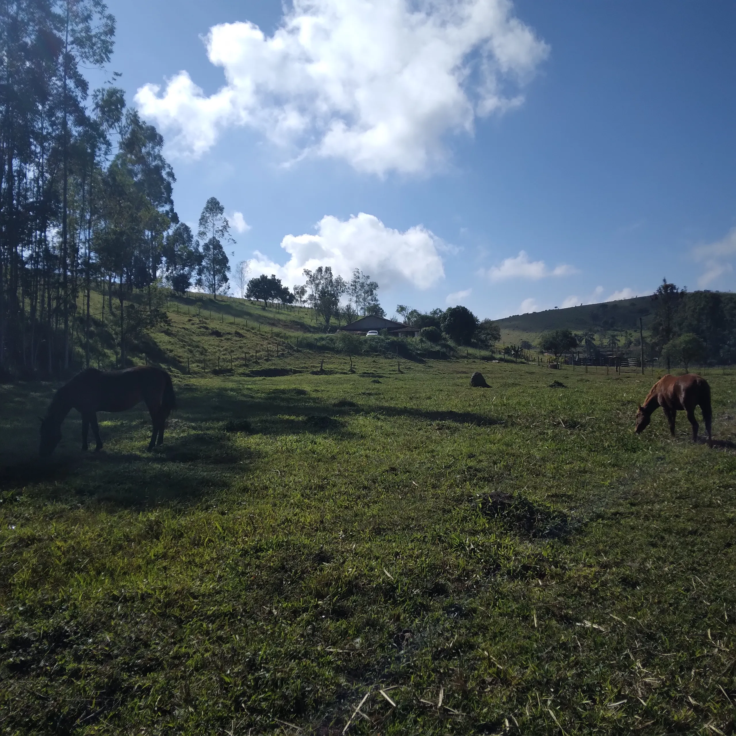 Sítio à venda de 21 ha em Lagoinha, SP, Brasil