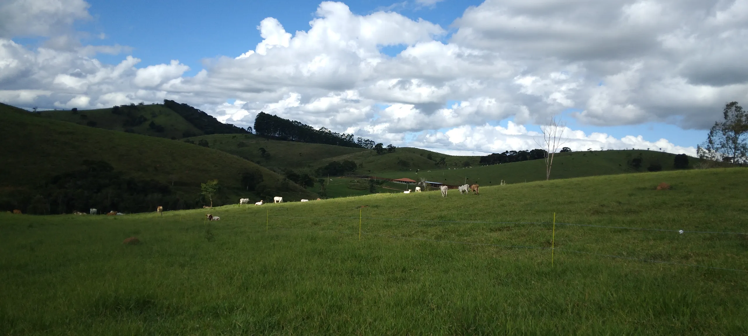Sítio à venda de 21 ha em Lagoinha, SP, Brasil
