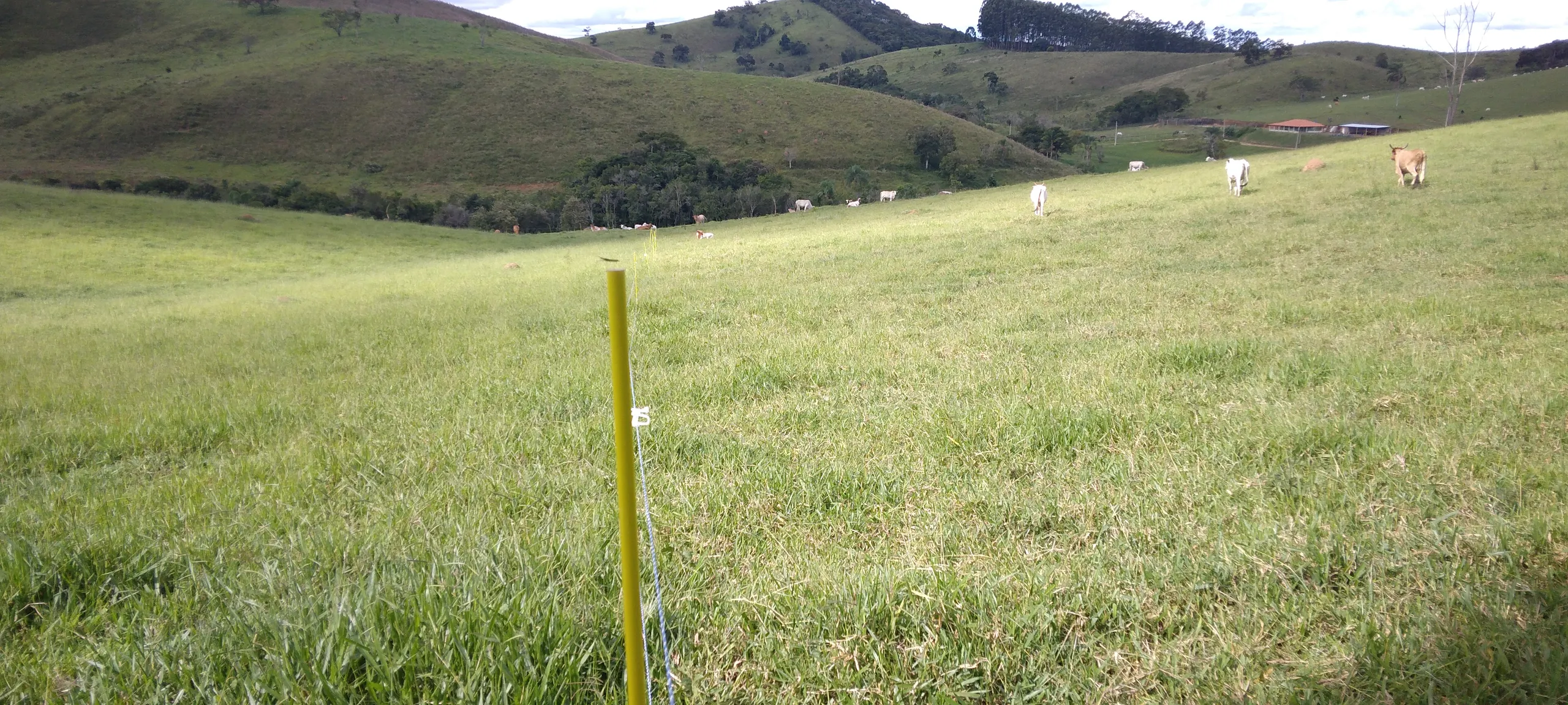 Sítio à venda de 21 ha em Lagoinha, SP, Brasil