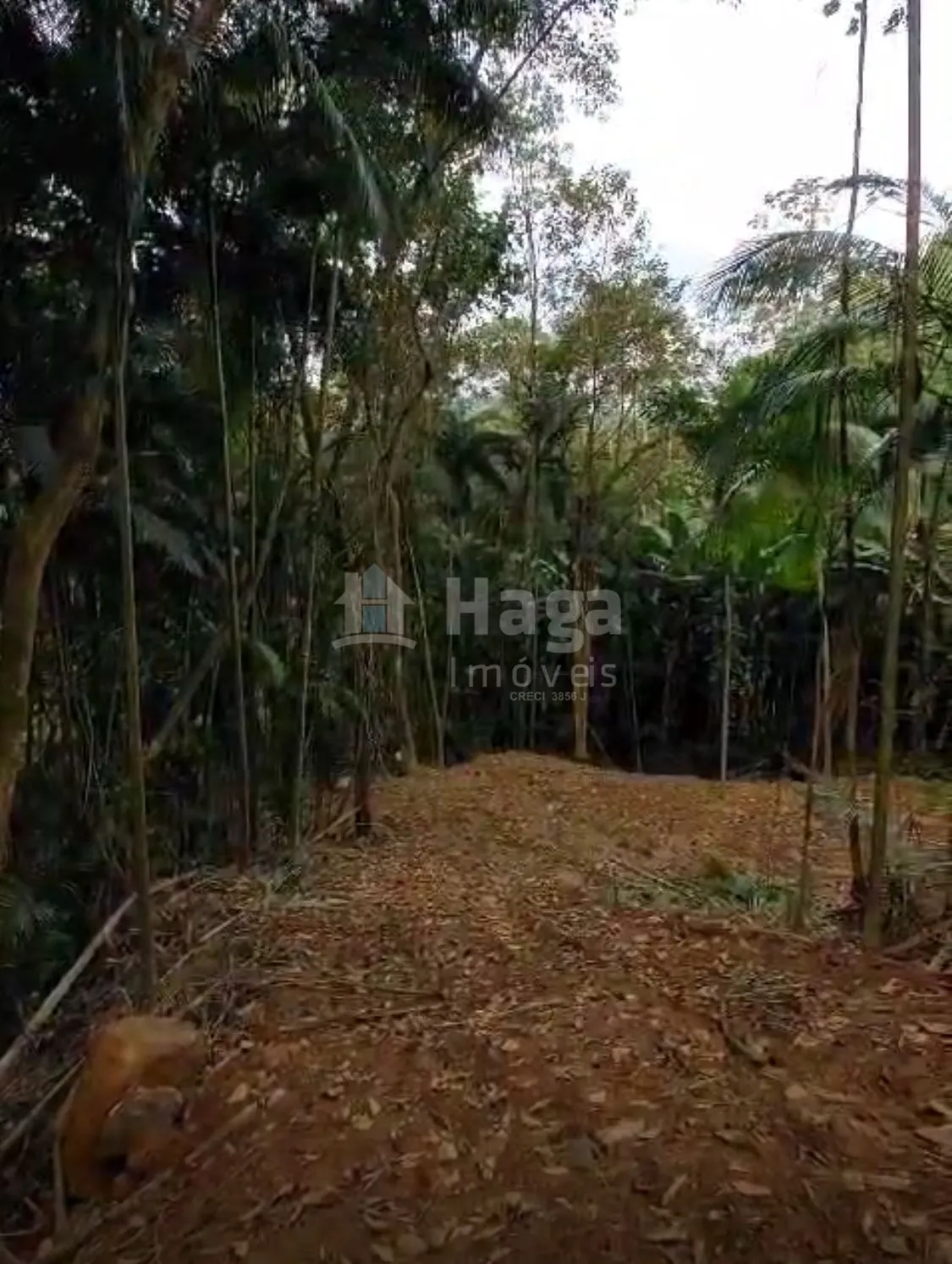 Farm for sale of 3,410 m² in Águas Mornas, SC, Brazil