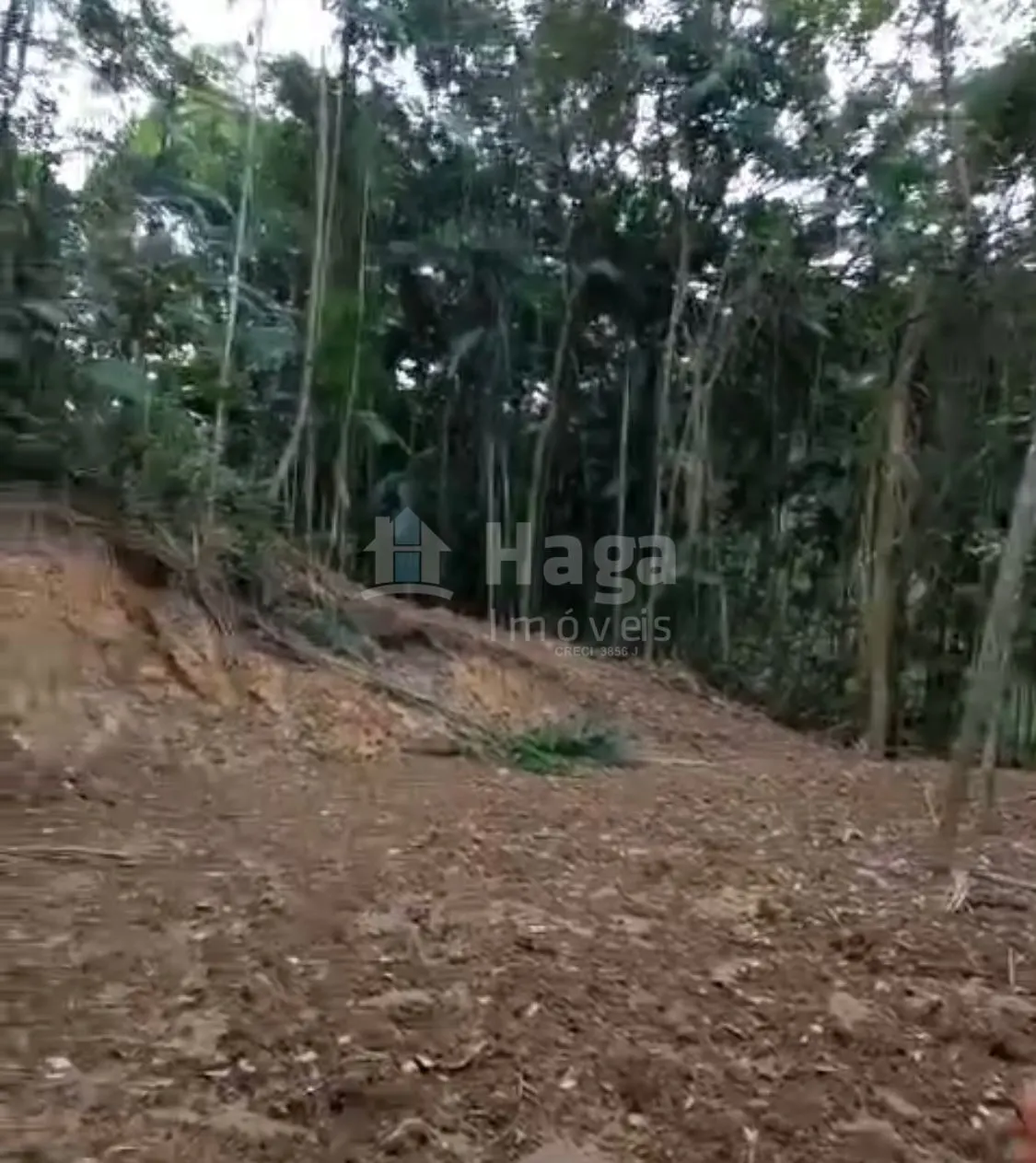 Fazenda à venda de 3.410 m² em Águas Mornas, SC, Brasil