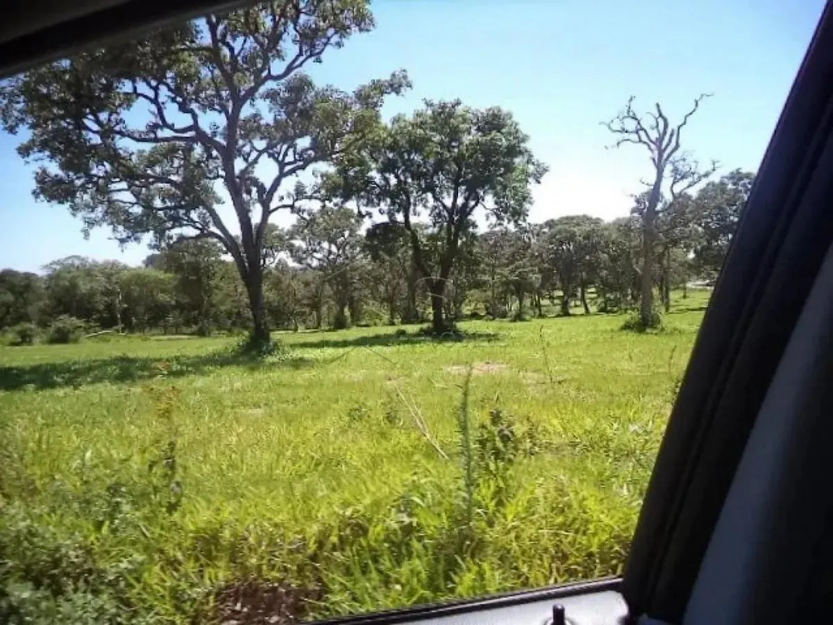 Small farm for sale of 10 acres in Botucatu, SP, Brazil