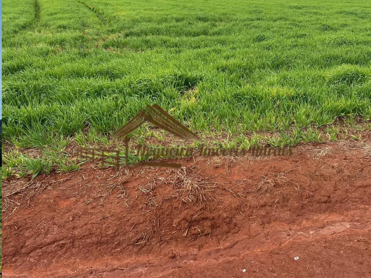 Fazenda à venda de 116 ha em Avaré, SP, Brasil