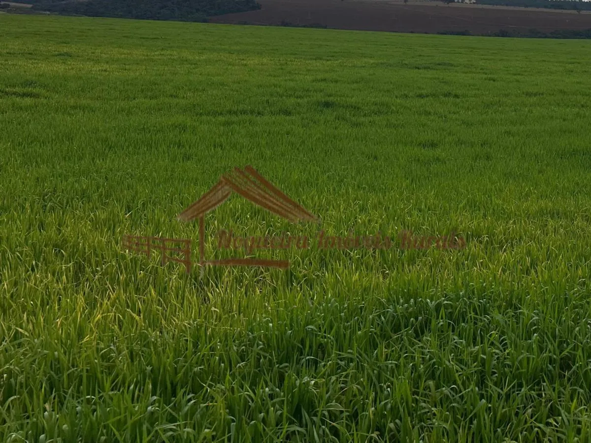 Fazenda à venda de 116 ha em Avaré, SP, Brasil