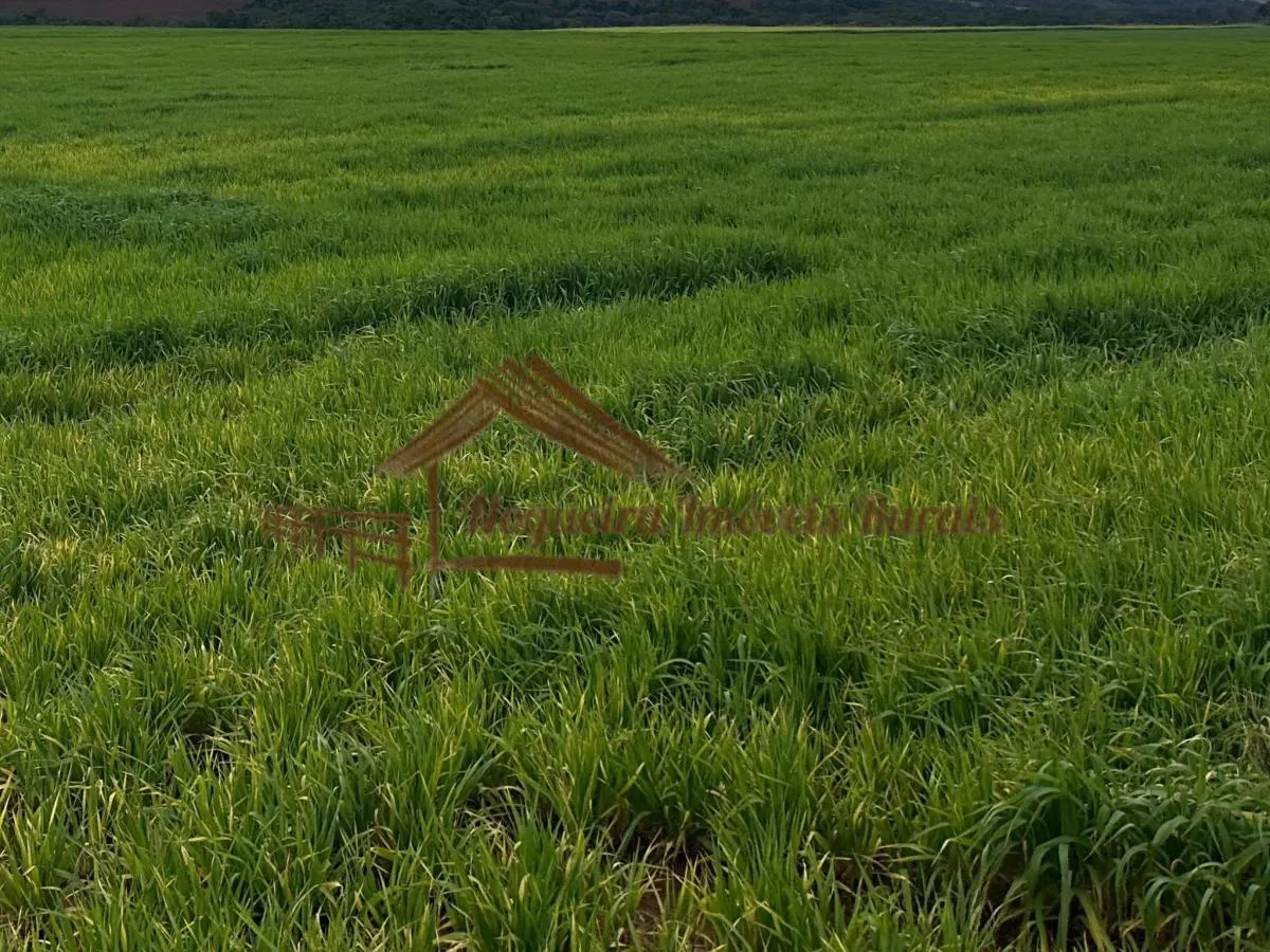 Fazenda à venda de 116 ha em Avaré, SP, Brasil