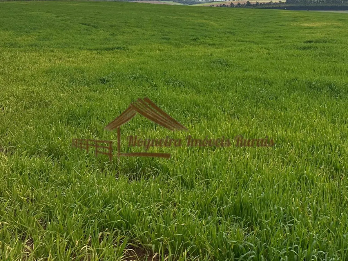 Fazenda à venda de 116 ha em Avaré, SP, Brasil