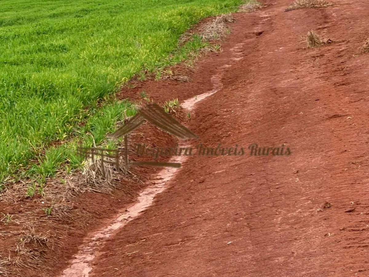 Fazenda à venda de 116 ha em Avaré, SP, Brasil