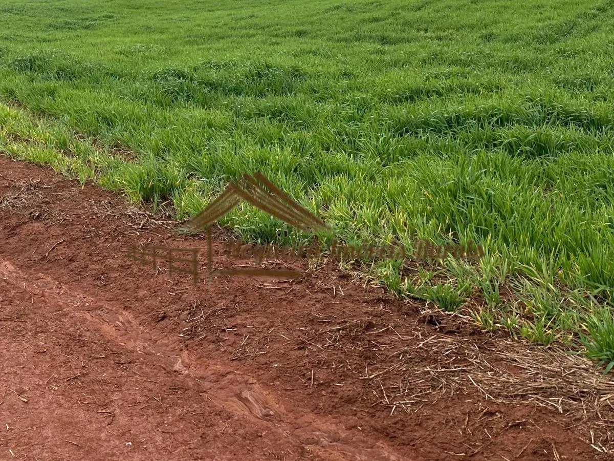 Fazenda à venda de 116 ha em Avaré, SP, Brasil
